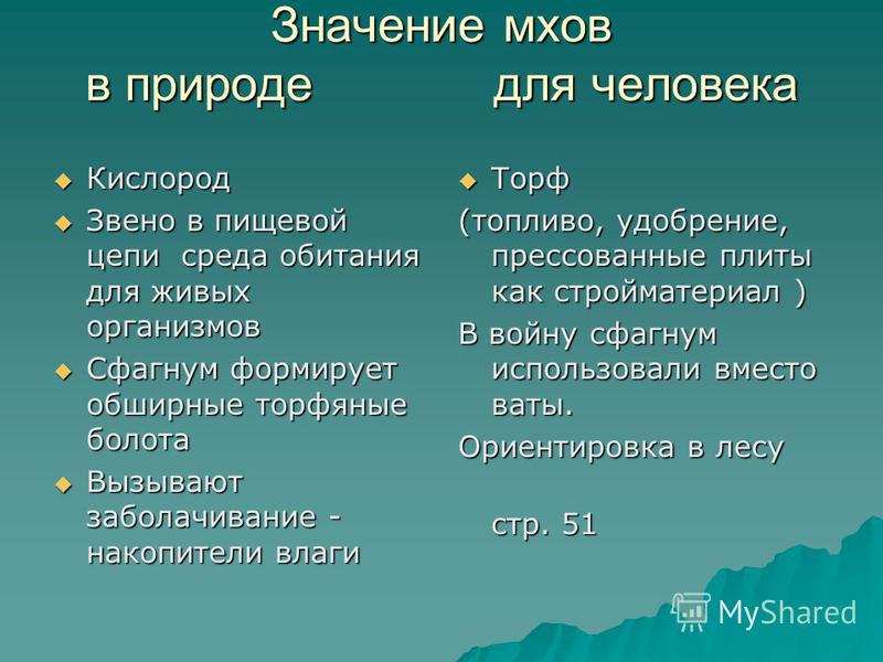 Значение мхов в природе и жизни человека схема